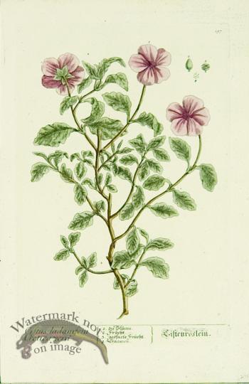 Blackwell German 192